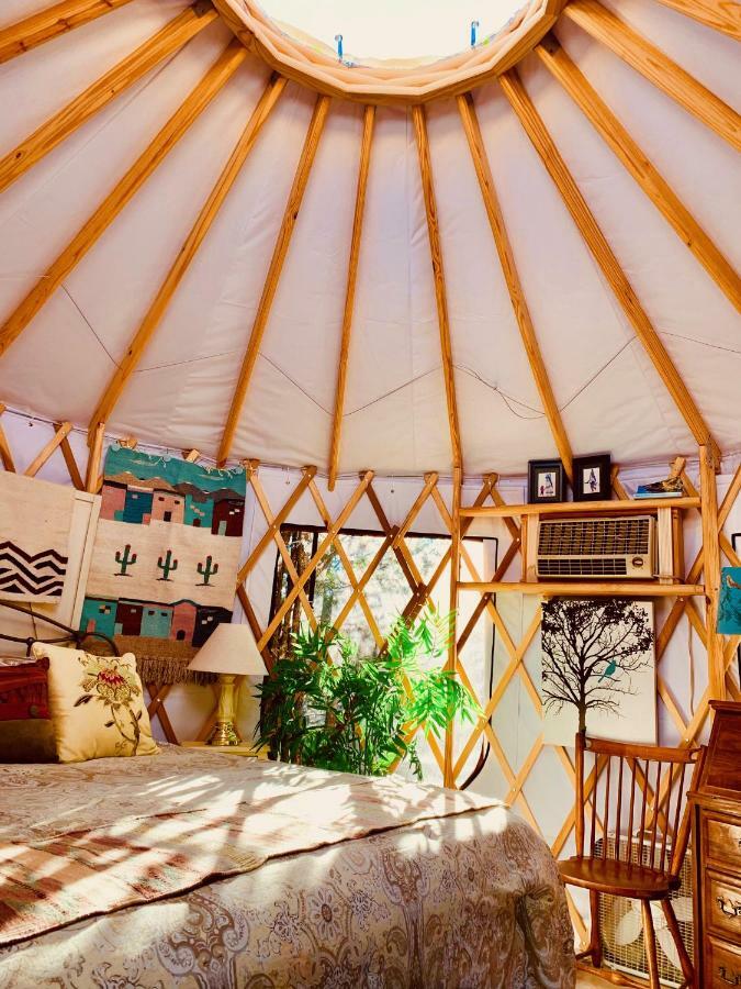 The Yoga Yurta At Sunny Mellow Eco Villa Tijeras Extérieur photo